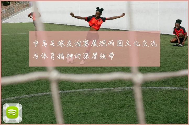 中乌足球友谊赛展现两国文化交流与体育精神的深厚纽带