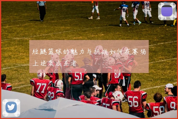短腿篮球的魅力与挑战如何在赛场上逆袭成王者