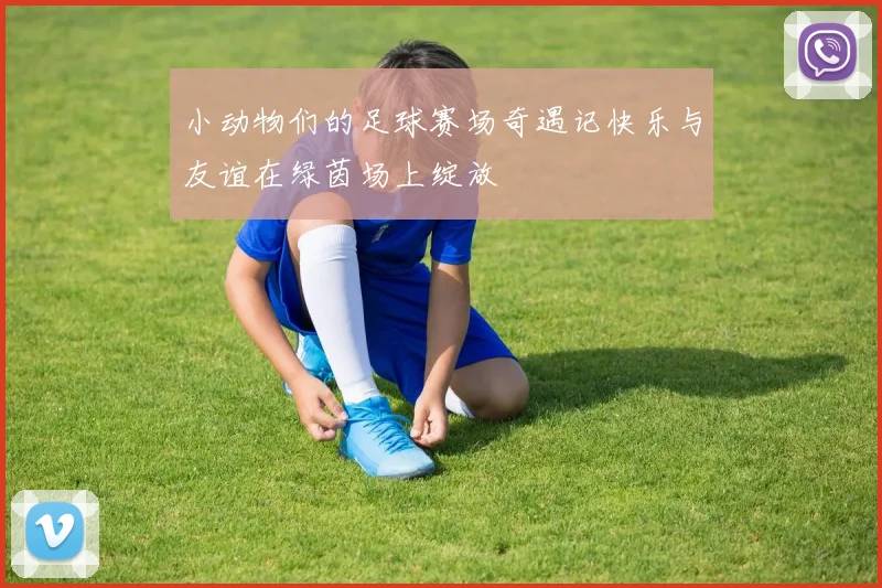 小动物们的足球赛场奇遇记快乐与友谊在绿茵场上绽放