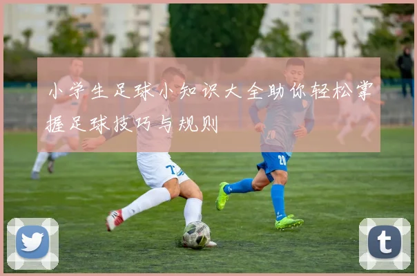小学生足球小知识大全助你轻松掌握足球技巧与规则